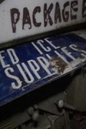 American Pickers S22E22 480p x264-mSD EZTV
