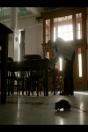 Earth Abides S01E02 480p x264-mSD EZTV