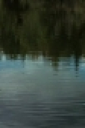 Cryptid S01 SWEDISH WEBRip x264-ION10 EZTV