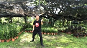 [ FreeCourseWeb ] Udemy - Tai Chi Chen Style for Beginner - Strengthens Mind and...