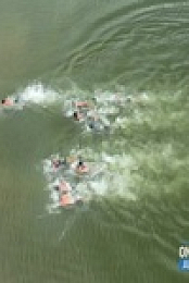 Survivor AU S09E19 480p x264-mSD EZTV