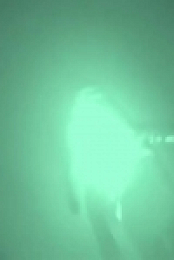 Dog Squad S11E02 480p x264-mSD EZTV