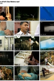 Secrets of Bones (1280x720p HD, 50fps, soft Eng subs)