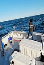 Wicked Tuna S12E08 480p x264-mSD EZTV