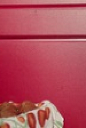 Animal Control S01E01 XviD-AFG EZTV