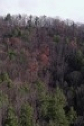 Mountain Men S12E01 720p WEB h264-BAE EZTV