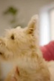 Barkley Manor S01E08 XviD-AFG EZTV