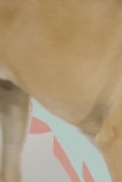 Haute Dog S01E09 720p WEB h264-KOGi EZTV