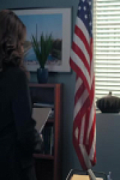 The Irrational S02E03 480p x264-mSD EZTV