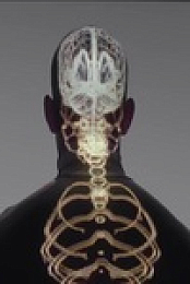 Human The World Within S01E06 480p x264-mSD EZTV