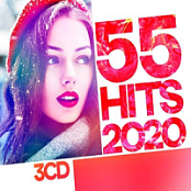 VA - 55 Hits 2020 (Opus ~128) [Only2]
