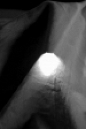 Ghostly Encounters S03E01 720p WEB H264-INFLATE [eztv]