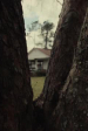 Paranormal Revenge S01E03 XviD-AFG EZTV