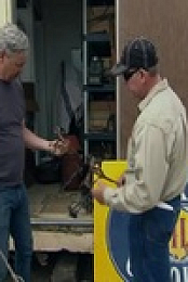 American Pickers S23E11 480p x264-mSD EZTV
