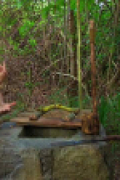 Survivor S47E02 XviD-AFG EZTV