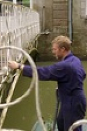 Chateau DIY S07E10 XviD-AFG EZTV