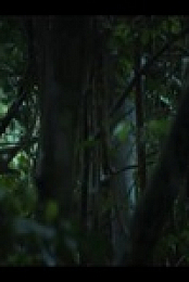 Chimp Empire S01E04 480p x264-mSD EZTV