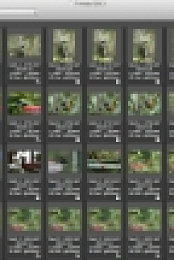 Photo Mechanics Latest [ 2018] Is Here! | A2zCrack