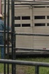 Heartland CA S15E02 XviD-AFG EZTV