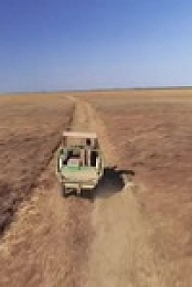 Outback Ringer S02E04 480p x264-mSD EZTV