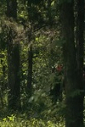 Reservation Dogs S01E06 480p x264-mSD EZTV
