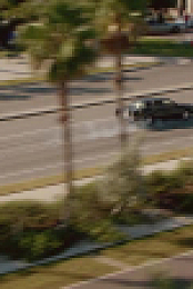 Its Florida Man S01E06 XviD-AFG EZTV
