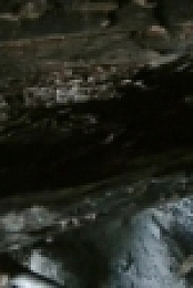 Alone S03E04 720p HDTV x264-W4F[eztv]