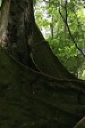 Equators Wild Secrets S01E02 720p HDTV x264-CBFM EZTV
