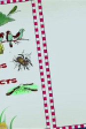 Critter Quest S01E03 XviD-AFG EZTV