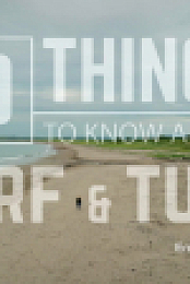 10 Things To Know About S10E01 1080p WEB H264-CBFM EZTV