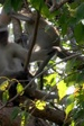 Wild Child S02E24 720p WEB h264-DiRT EZTV