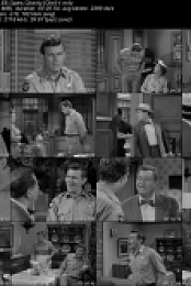 The Andy Griffith Show S1 E8 Opies Charity [che]
