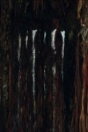 The Dead Lands S01E04 480p x264-mSD [eztv]