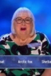 Eggheads S19E74 HDTV x264-NORiTE [eztv]