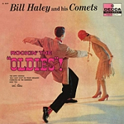 Bill Haley & His Comets - Rockin' The Oldies! (2018) (320) [DJ]