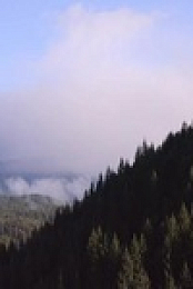 Chefs vs Wild S01E08 480p x264-mSD EZTV