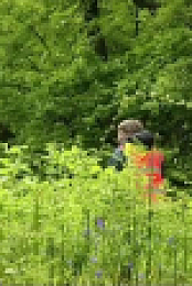 Christines Garden S02E02 XviD-AFG EZTV