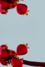 Is It Cake S02E02 1080p WEB h264-EDITH EZTV