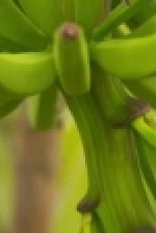 Food Unwrapped S19E02 XviD-AFG EZTV