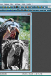 Photo Filter Studio X 10.2.1+Keygen CORE[Gladrag Manhunt™]