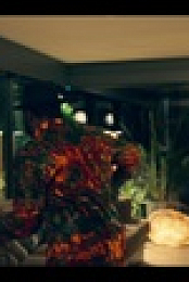 Wolfe S01E05 INTERNAL 2160p AUHDTV x265-FaiLED EZTV