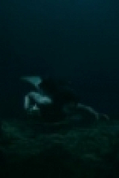 Siren 2018 S03E03 WEB H264-iNSiDiOUS [eztv]