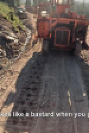 Timber Titans S01E04 XviD-AFG EZTV