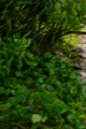 Survivor S43E05 720p WEB h264-KOGi EZTV
