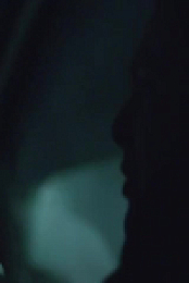 Wild Crime S04E02 480p x264-mSD EZTV