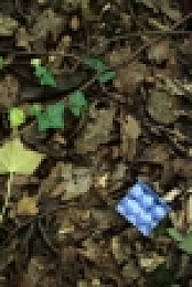 Murder in a Small Town S01E01 XviD-AFG EZTV