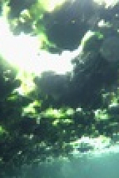 Secret Life Underground S01E02 720p WEBRip x264-CBFM EZTV