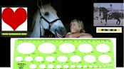 [ FreeCourseWeb ] Udemy - The Bottom-Line in Horsemanship
