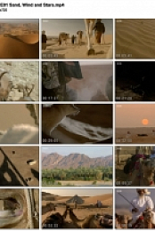 Wild Arabia (BBC, 2013) (1280x720p HD, 50fps, soft Eng subs)
