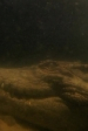 Naked and Afraid S07E07 720p WEB x264-WEBSTER[eztv]